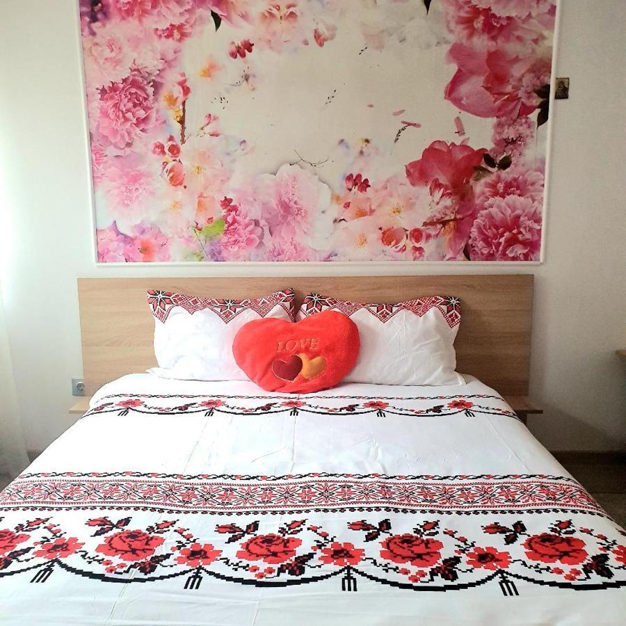 Casa Ana Cluj Apartment Luaran gambar