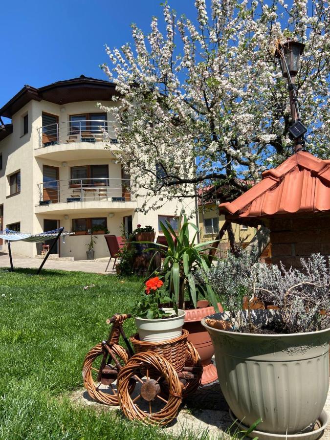 Casa Ana Cluj Apartment Luaran gambar