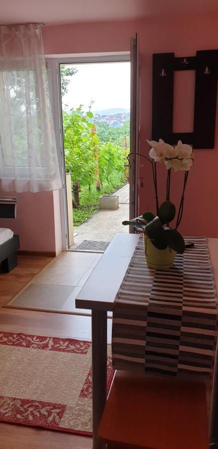 Casa Ana Cluj Apartment Luaran gambar